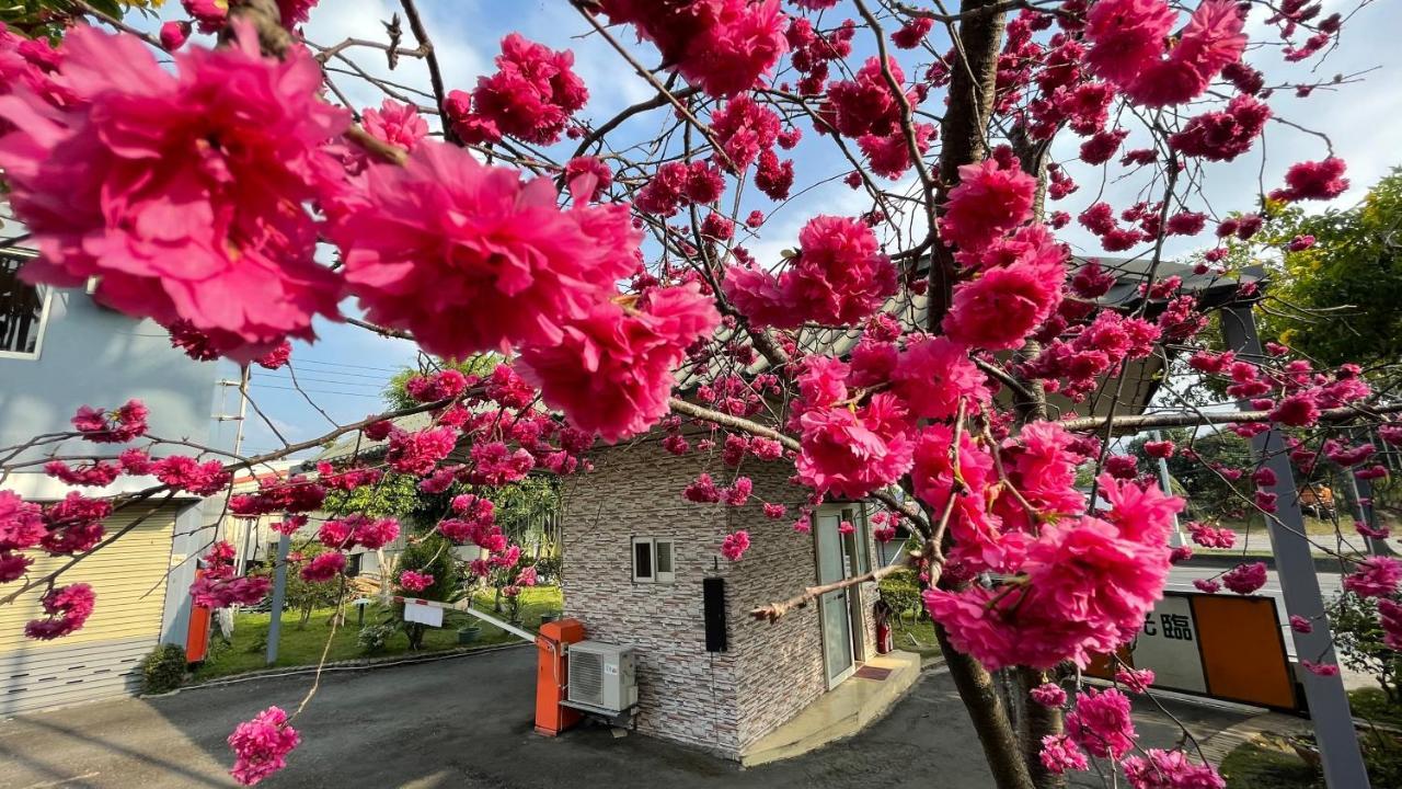Hua Du Motel Jiji Exteriér fotografie